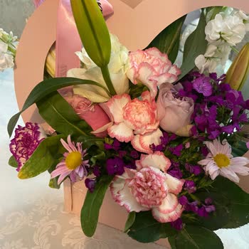 Lilyana Flowers Tam Bir Saçmalık