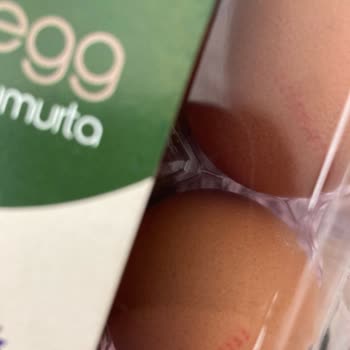 Bestegg Organik Yumurta' Dan 1 Kodlu Ürün Çıktı