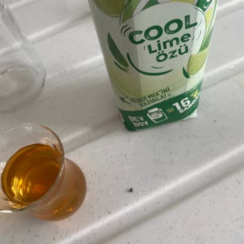 Dimes Cool Lime İçinden Böcek Çıktı