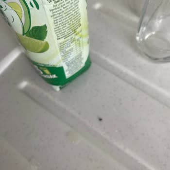 Dimes Cool Lime İçinden Böcek Çıktı