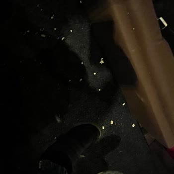 Ankara Forum Acm Cinema Pink