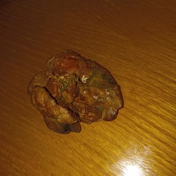 Erpiliç Tavuk Ciğerindeki Yeşillik