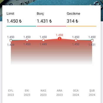 Yapı Kredi Bankası Findeks'e Kasıtlı Olarak Yanlış Bilgi Gönderiyor