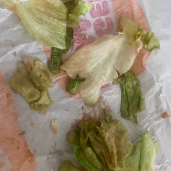 Burger King Burgerler Çok Kötü