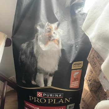 Pro Plan Yanlış Ürün, Çok Kötü Müşteri Temsilcisi Ve Paramı, Geri Alamıyorum.