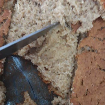 Fırınımız Bozuk Arçelik Ve Servisi Tam Bir Fiyasko