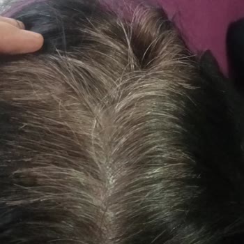 Palette Şikayetim Var Boyam Köt7. Çıktı