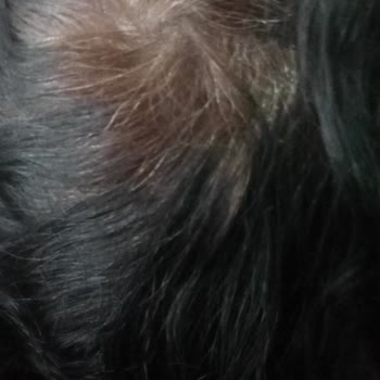 Palette Şikayetim Var Boyam Köt7. Çıktı