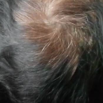 Palette Şikayetim Var Boyam Köt7. Çıktı