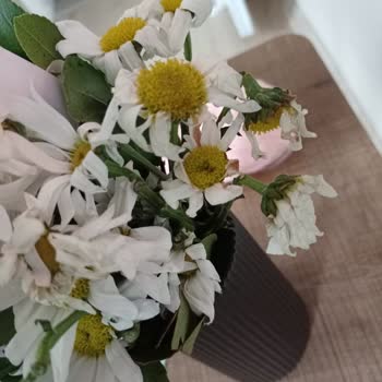 Çiçek Sepeti Çiçekleri Çöpten Mi Topluyor