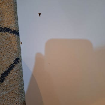 Trendyol Avmpark Satıcısı Ürünümü Teslim Etmiyor