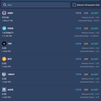 Bitexen Para Çekme İşlemi Yapmıyorum