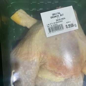 Orvital Tavuk İçinde Kıl