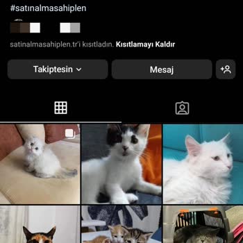 Satinalmasahiplen.tr (Instagram) Yanıltıyor!