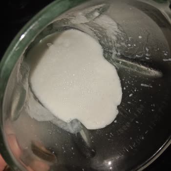 Piyale Krem Şanti Kıvamı