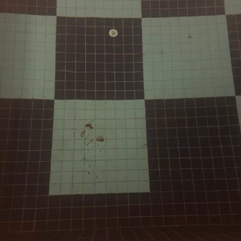 City Point Beach & Spa Hotel Havuzun Ve Spor Salonunun Temizlik Problemi