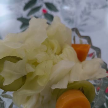 Çiçek Salamura A.Ş. Yeni Alınan Üründen Kıl Çıkması