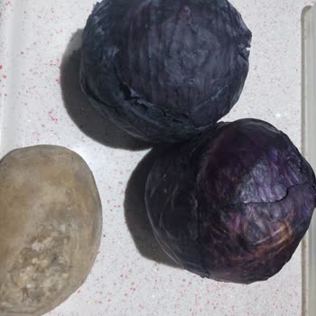 A101 Eksik Ve Kusurlu Teslimat Hayal Kırıklığı Yarattı