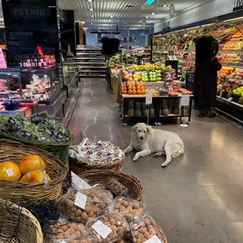 Macro Center Market Girişindeki Hijyen Sorunu