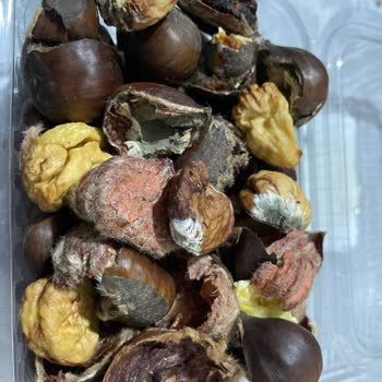 Migros Gıda Ürünlerindeki Sağlık Skandalı