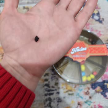 BİM Market Hazine Markalı Draje Şikayet