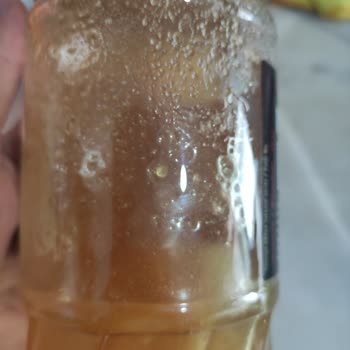 Balparmak Bal Parmak Dondu