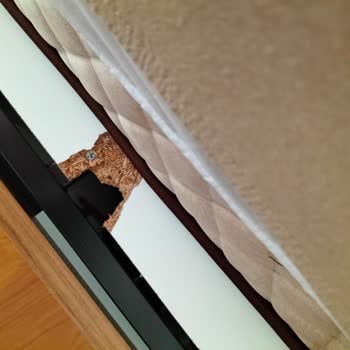 Modalife Avrupa Düğün Paketi Şikayet