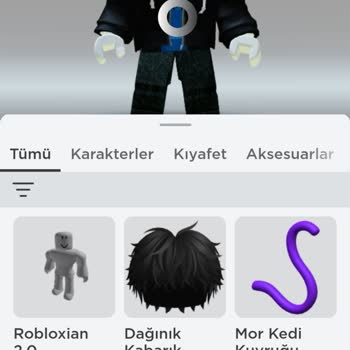 ROBLOX Robuxum Gitti Ve Ne Yapacağımı Bilmiyorum