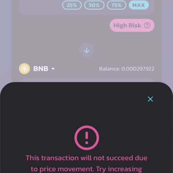 Pancakeswap Web3 Cüzdanı Ve Sahte Coin Mağduriyeti