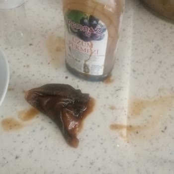İremnaz Helva Pekmez İçinde Çıkan Madde