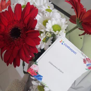 Çiçek Sepeti İsimsiz Not Yazan Çiçek