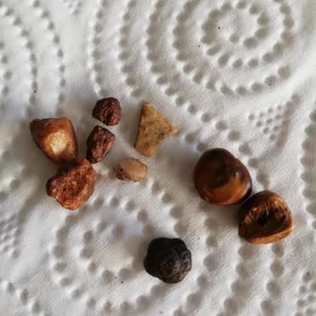 Montana Çekirdek Kahve Taş Çıktı