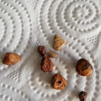 Montana Çekirdek Kahve Taş Çıktı