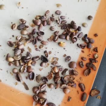 Montana Çekirdek Kahve Taş Çıktı