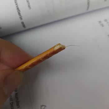 BİM'in Çubuk Krakerinden Kıl Çıktı