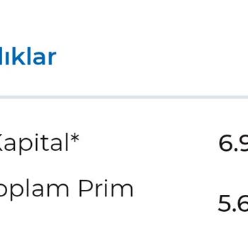Anadolu Hayat Emeklilik Döviz Getirili Sistemde Kur Farkından Vergi Alınması