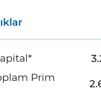 Anadolu Hayat Emeklilik Döviz Getirili Sistemde Kur Farkından Vergi Alınması