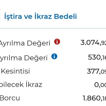 Anadolu Hayat Emeklilik Döviz Getirili Sistemde Kur Farkından Vergi Alınması