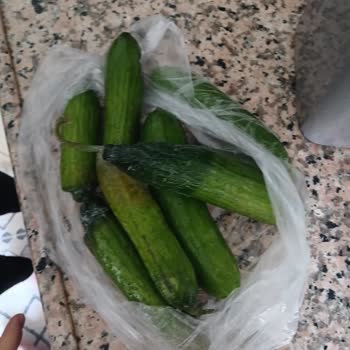 Migros Hemen Bilerek Bozuk Ürün Gönderdi