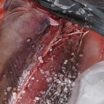 Migros'taki Balık Aldatmacası