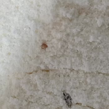 Arılac Sütlü Muzlu Kaşık Mama