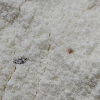 Arılac Sütlü Muzlu Kaşık Mama