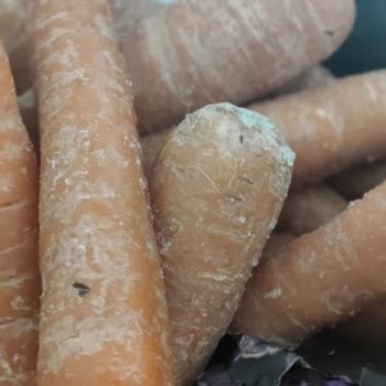 Vestel Dolap Ürünleri Erken Bozuyor Veya Donduruyor