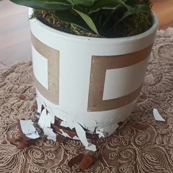 Çiçek Sepeti'nden Aldığım Çiçeğin Vazosu Su Değince Paramparça Oldu