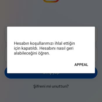Instagram Açtığım Hesaba Giriş Yapamıyorum