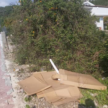 Almila Mobilya Mobilya Montaj Sonrası Çevre Kirliliği Şikayeti