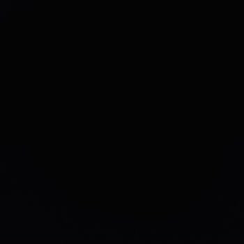 Zeytinburnu Veteriner Kliniği Fiyat Konusunda Anlaşamamazlık