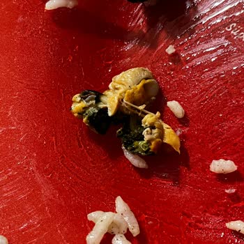 Metro Market Dondurulmuş Midyeler Temiz Değil