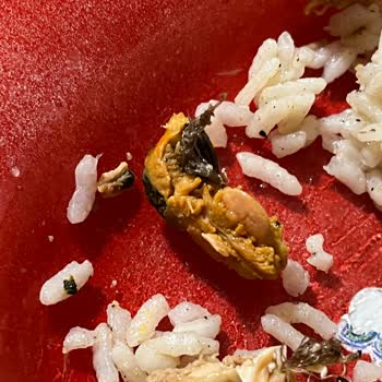 Metro Market Dondurulmuş Midyeler Temiz Değil