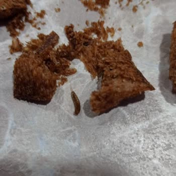 Tarım Kredi Kooperatifi Marketi Bozuk Gıda Maddesi Satıyor